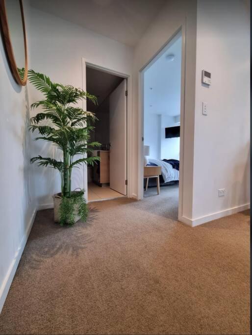 Broadbeach Stunner Modern And Central Gold Coast Buitenkant foto